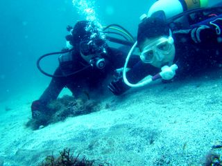 1日2ダイブできるお得な体験ダイビングプランです