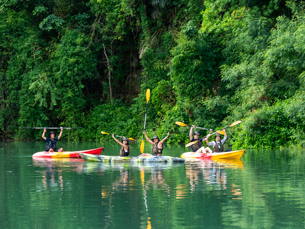 ツアー前半はマングローブ観察も行います