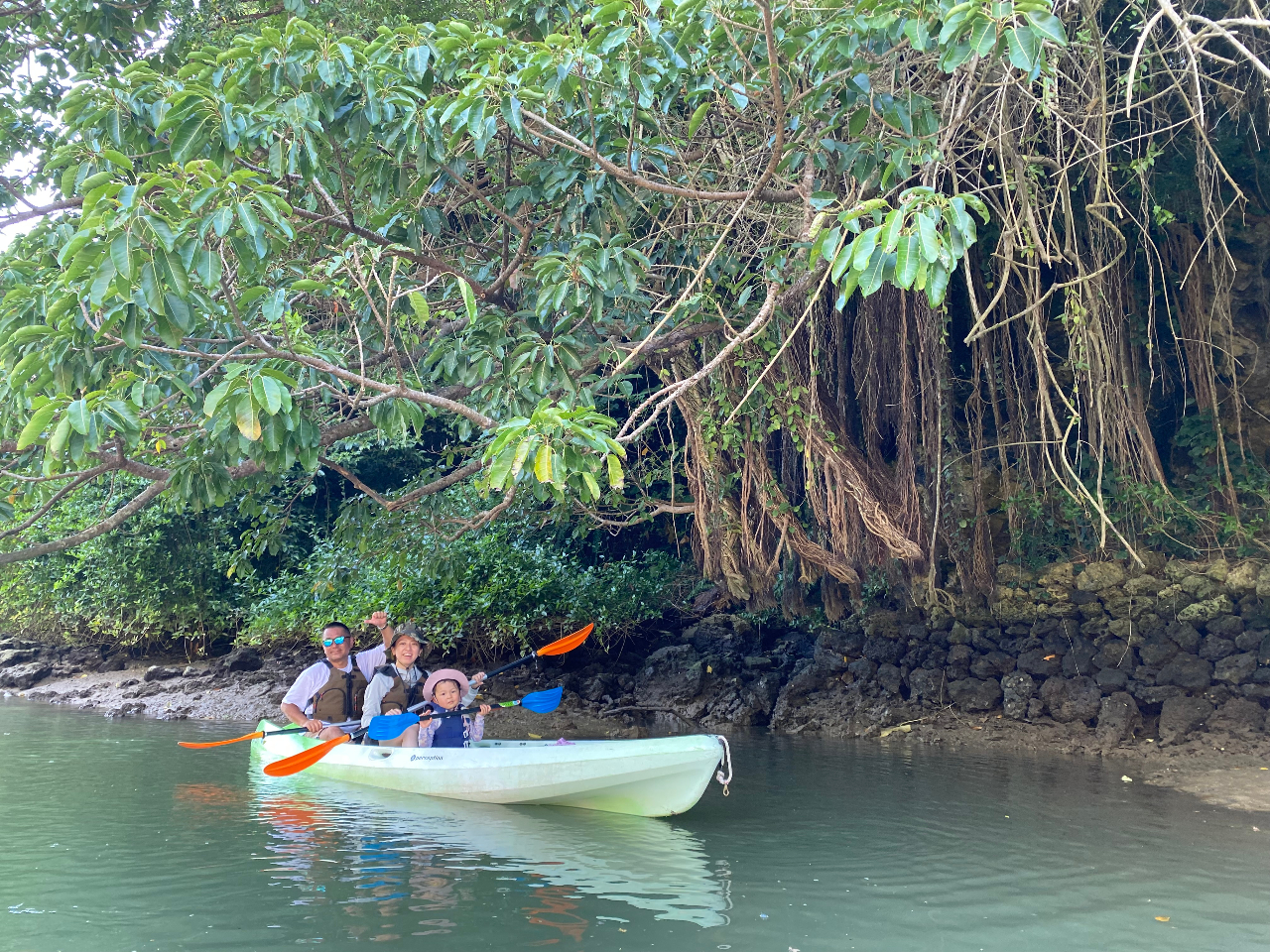 �Ƒ��ŋ��͂���