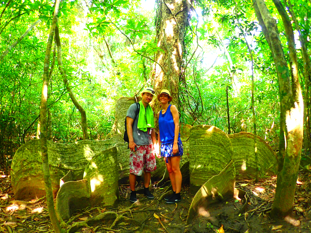 トレッキング中にガイドは西表島の自然についてもわかりやすくご案内します。西表島のジャングルは、カヌーだけでなく、トレッキングも楽しめます。