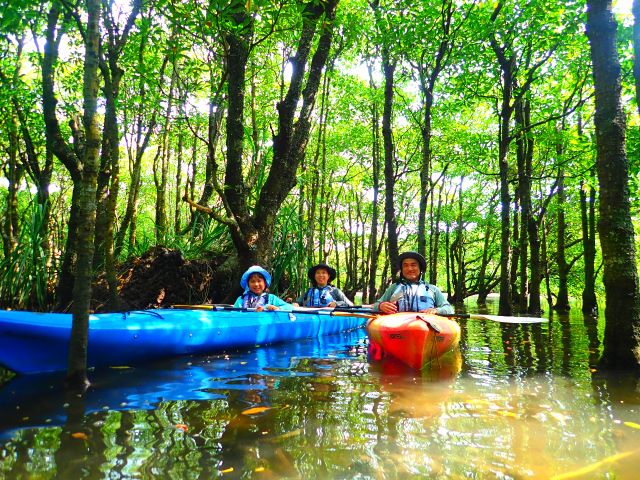 人気のマングローブカヌーをお手軽に。ジャングルのトレッキングがないので、準備も気合も必要ありません。楽しみたいという気持ちだけあれば十分です。