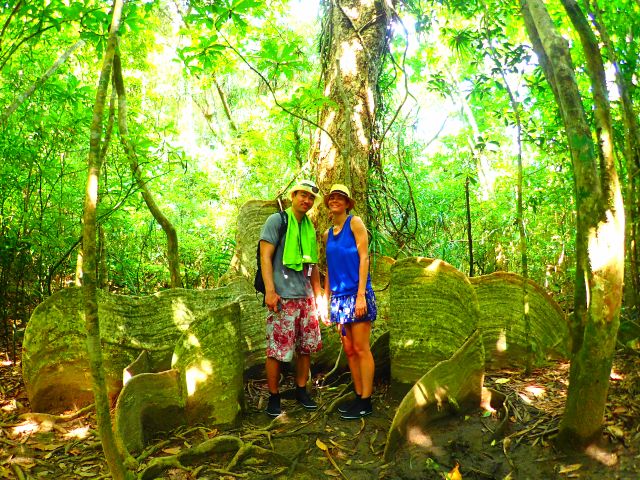 休憩がてらカヌーを降りてジャングルの中を散歩してみましょう。不思議な形をした亜熱帯植物に出会えます。(約5分のジャングル散策です)