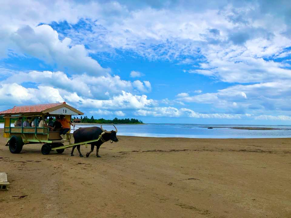 ߌォ͗RzցB̂тƂ썑͋̕C𖡂킢܂傤􂨒͗Rzɂ郌Xgłǂ