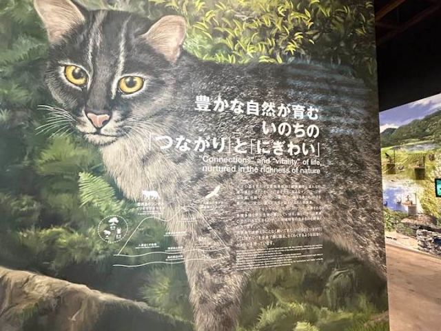 2022年にリニューアルオープンした、野生生物保護センターにも立ち寄りましょう♪