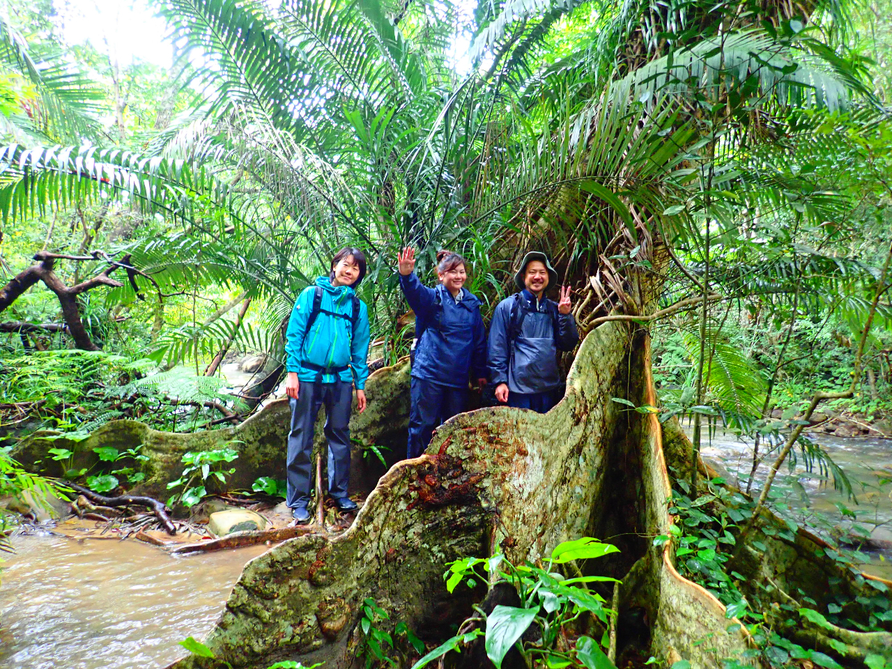 不思議な形をした南国ならではの植物にも出会えます。