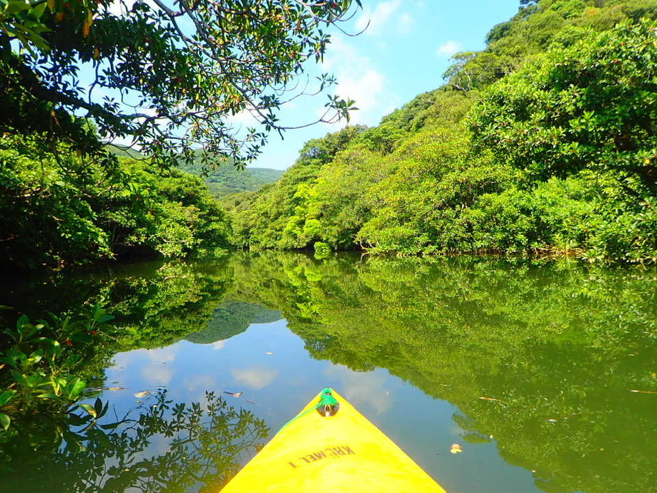 カヌーに乗ると大自然との距離がグッと近くなります。