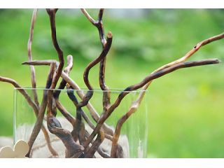 流木の小枝がアクセサリーに生まれ変わります!