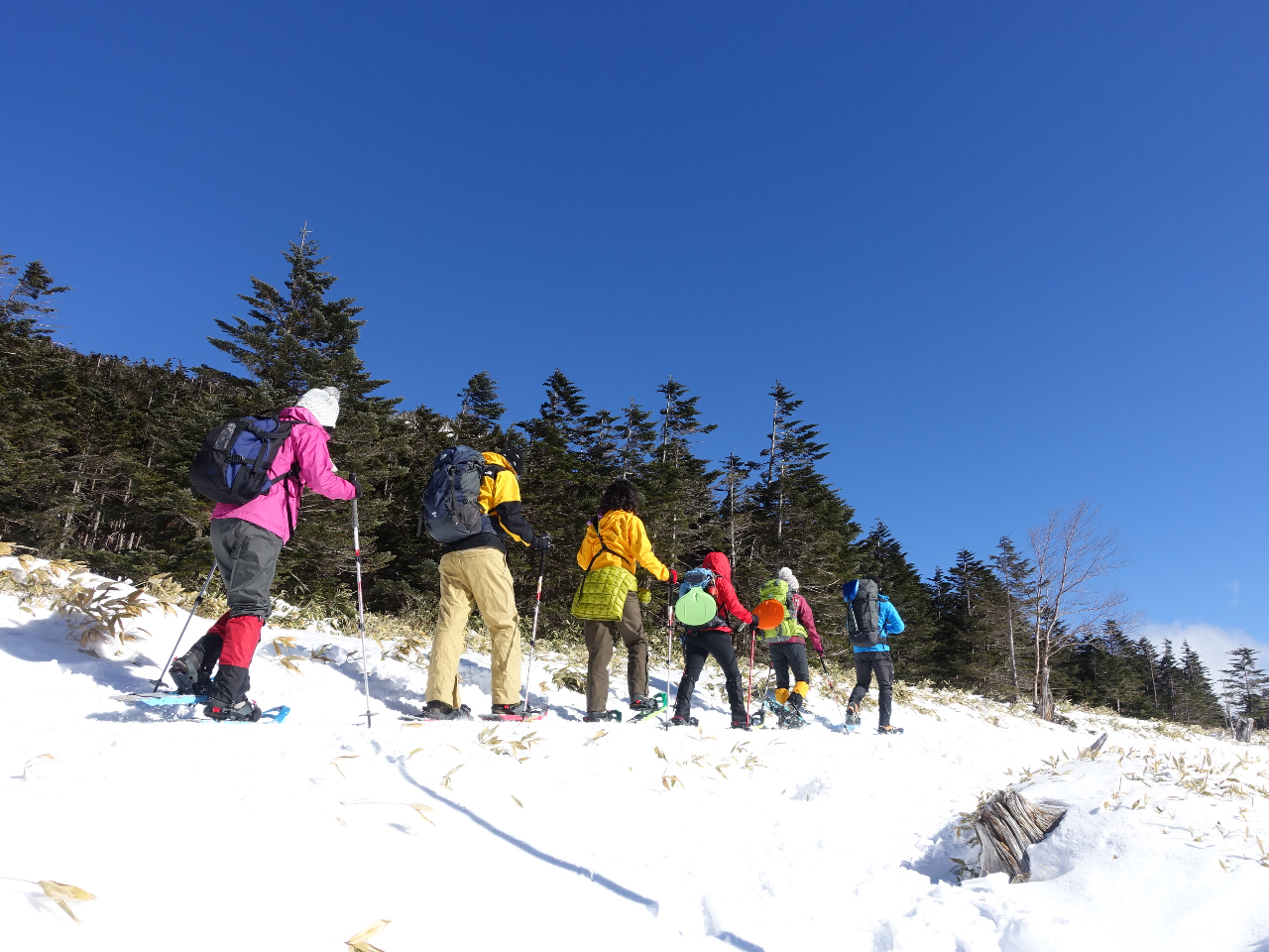 �����x�u���[�̉�������܂��傤!