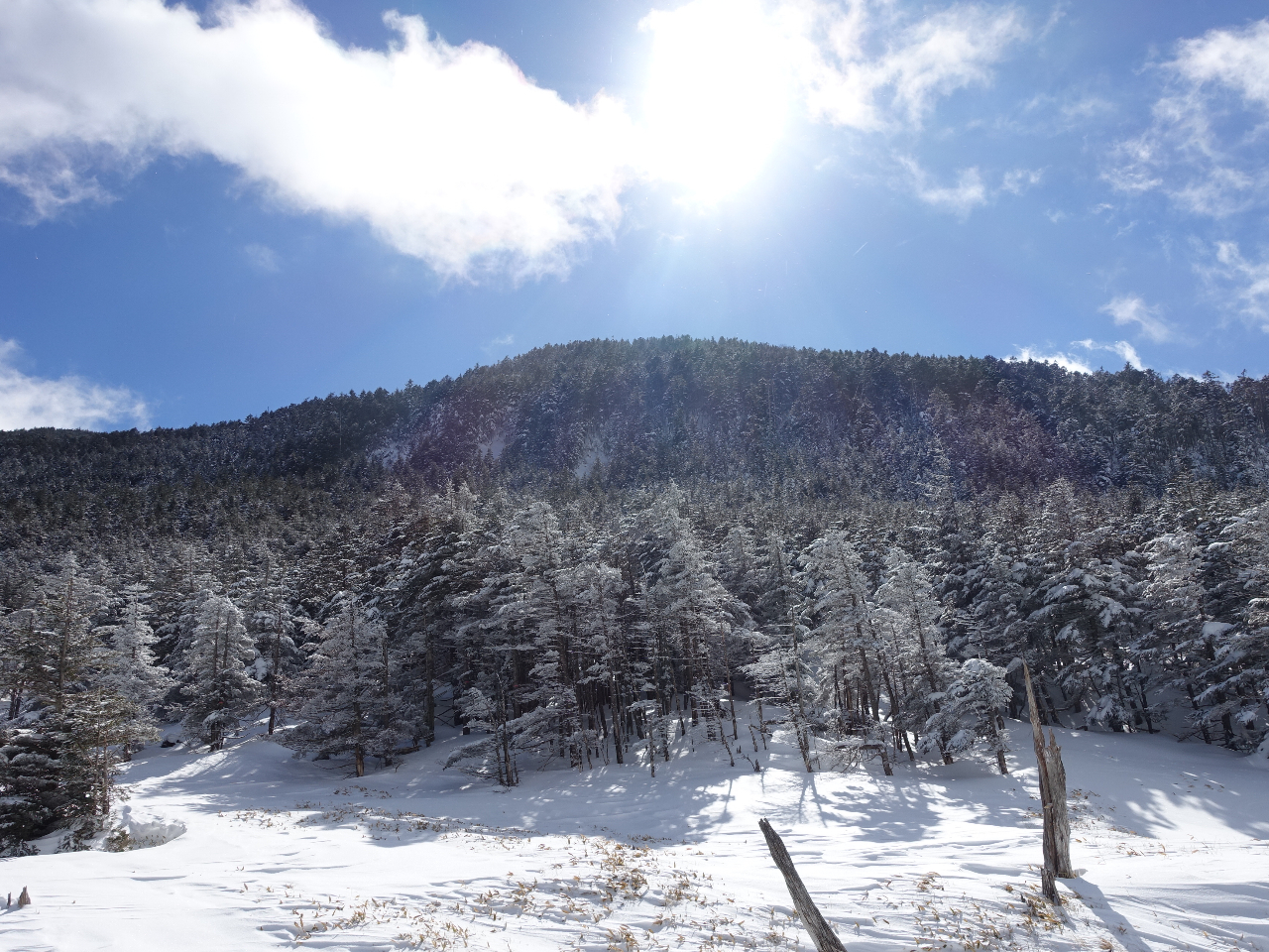 �Ȍ͎R�̌������p�B