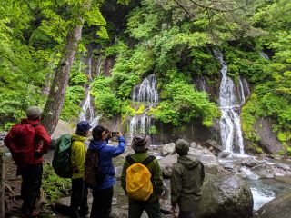 吐竜の滝。樹林が生い茂る斜面から湧き出す清水がいく筋もの白糸を紡ぎ出します。