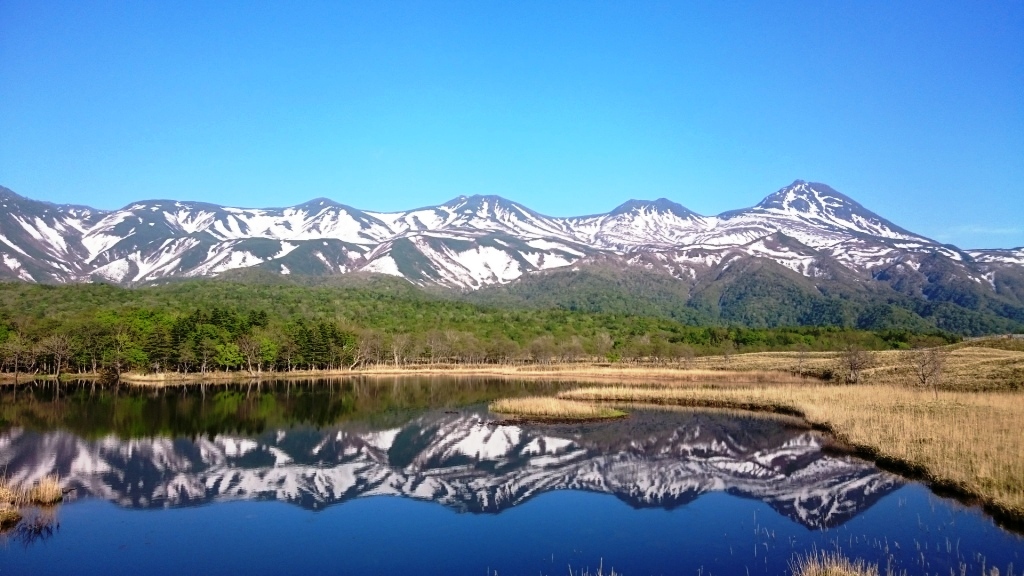 人気No.1!知床五湖一周ガイドウォーク (午後)