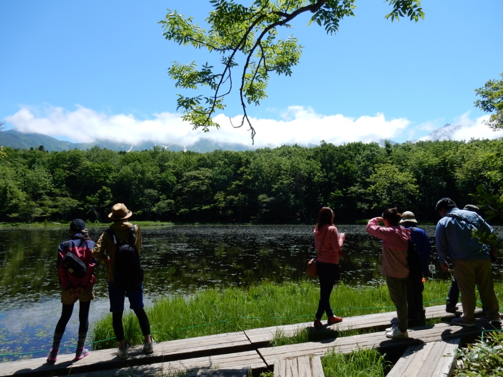 KChƈꏏɃqO}̐ސX܂傤I