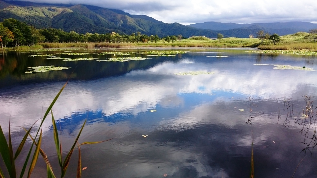 ɂ̓h}`bNȕiɏo邩m܂B