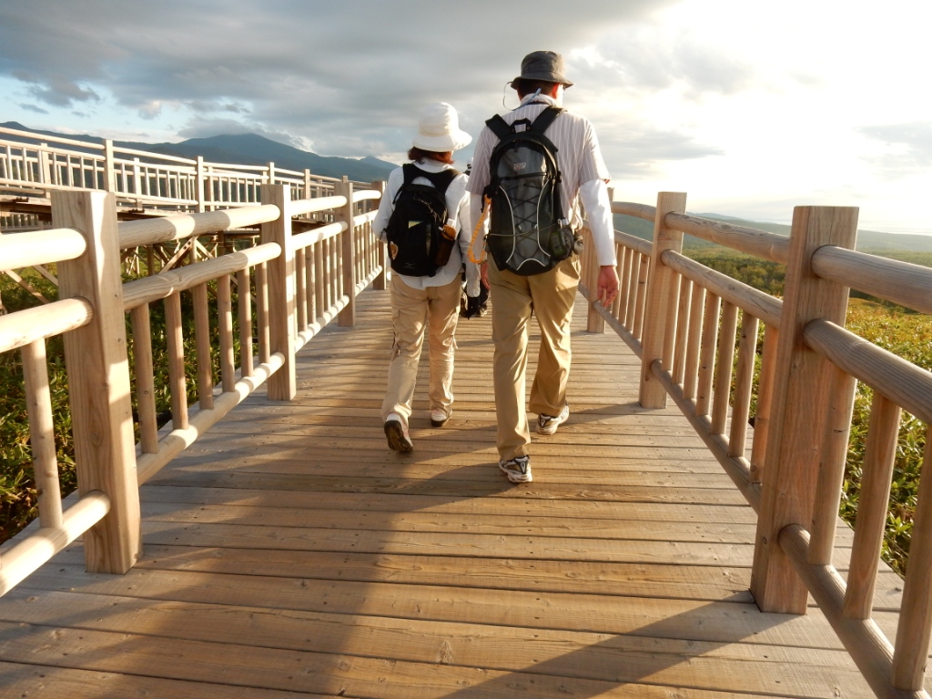 cA[̍Ō͍˖ؓ܂B߂QI