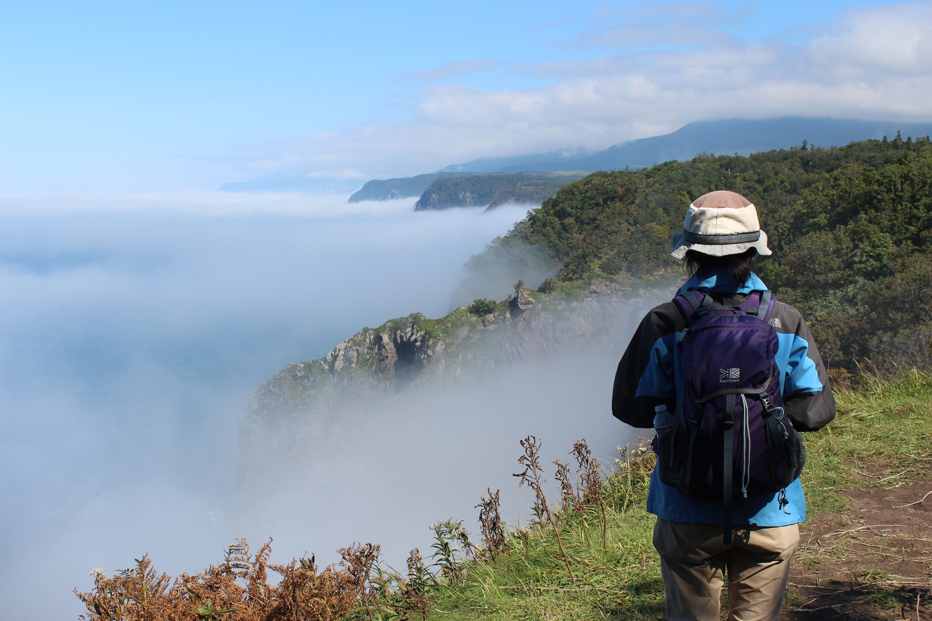 ���ɂ͌��z�I�ȕ��i�ɏo��邱�Ƃ�