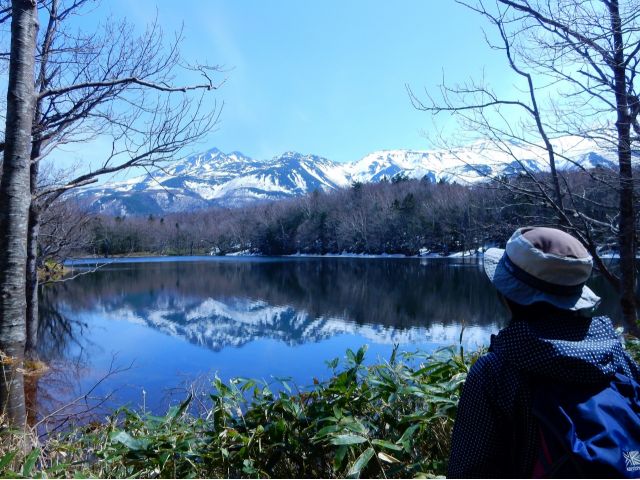 半日は知床五湖を散策します。世界遺産の魅力が詰まった知床を代表するフィールドです