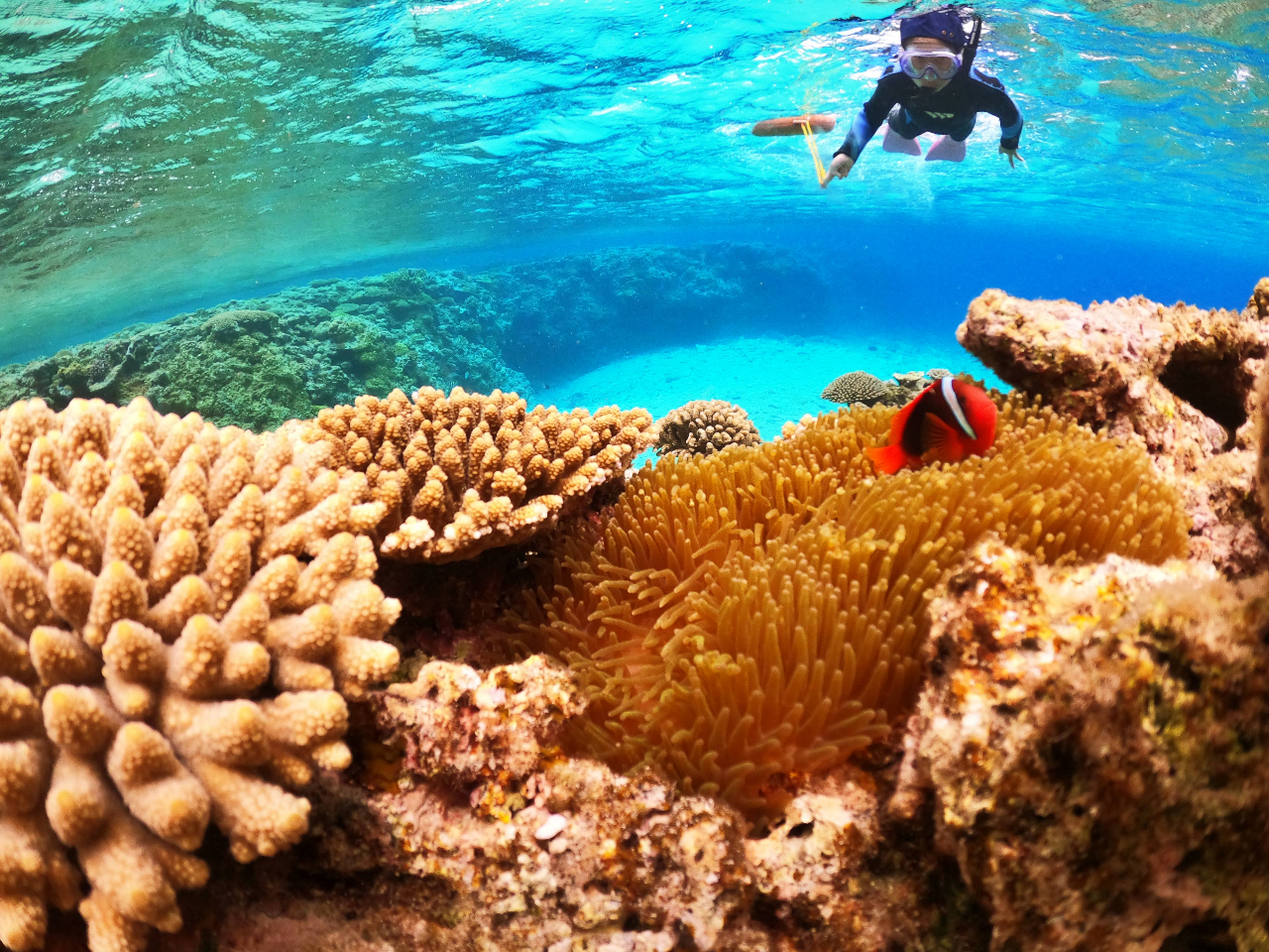 ���~�V��������c���̊����G���A�֍s������