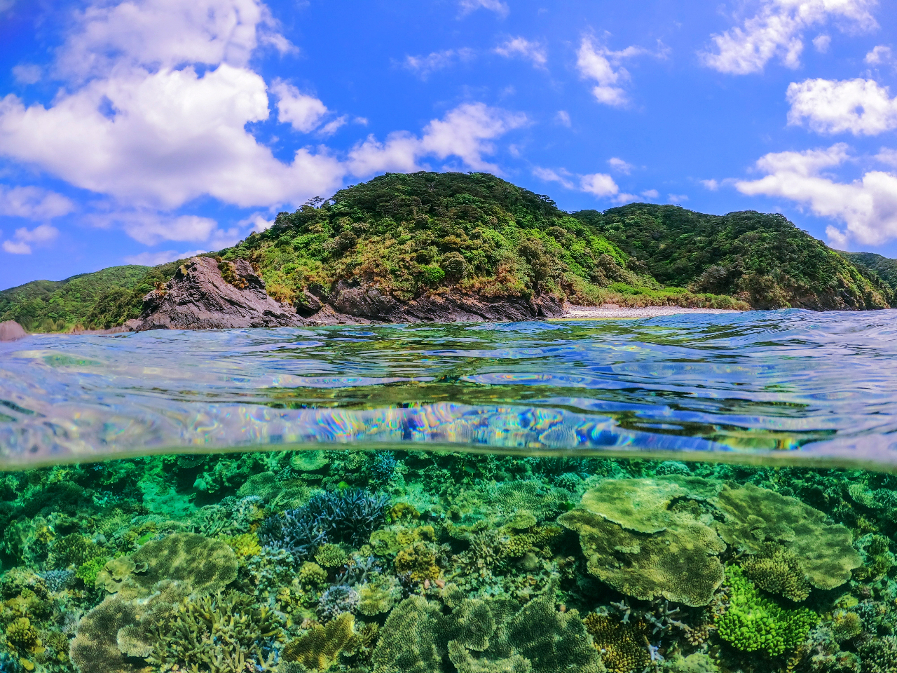 ★2016年PADI・ダイビングショップ日本一受賞店!