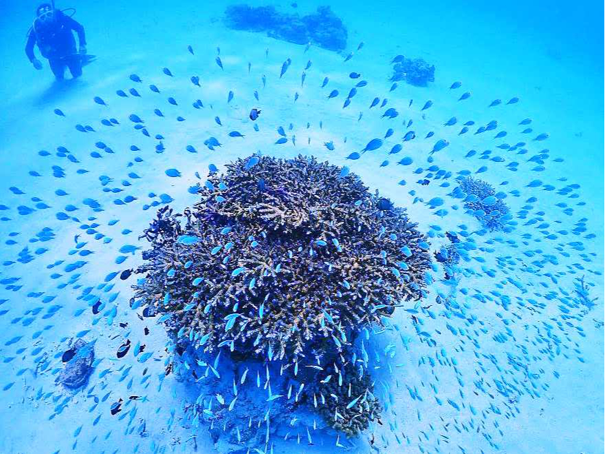 ★ミシュラン二ツ星の感動エリアへ行こう♪