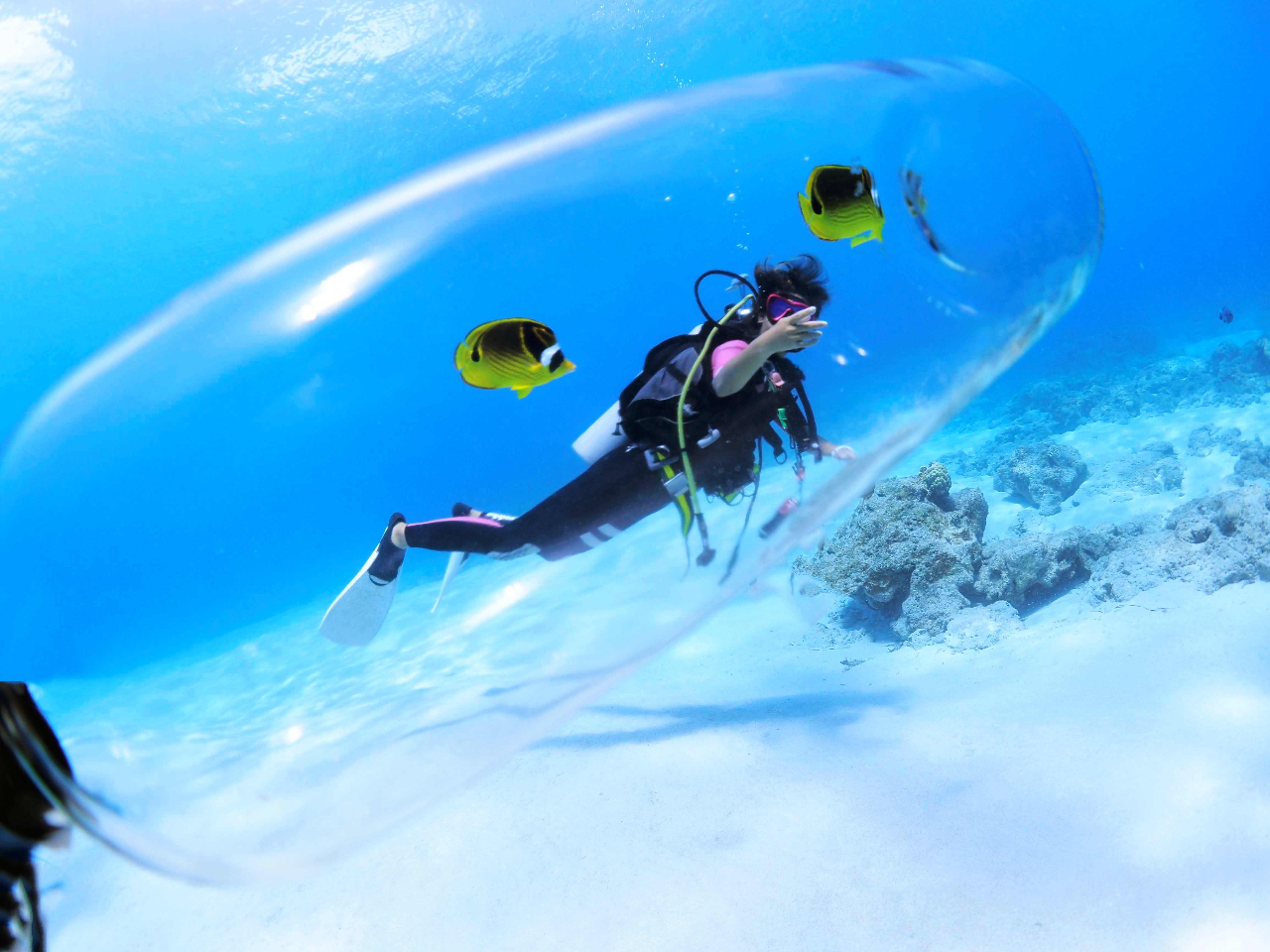 ★2016年PADI・ダイビングショップ日本一受賞店!