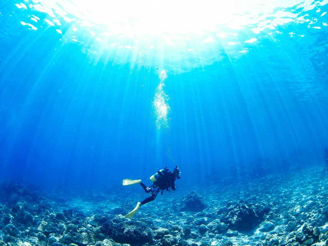 ★ケラマに恋したガイドがケラマの海に恋をさせます♪