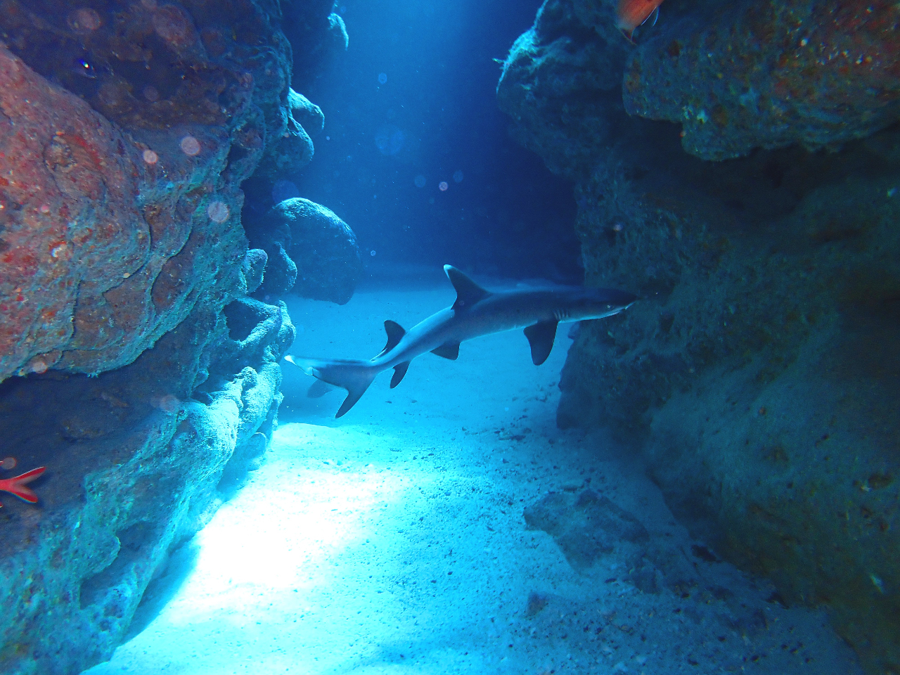 ★ミシュラン二ツ星の感動エリアへ行こう♪