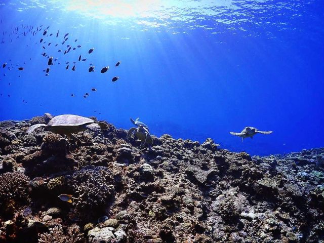 ★ミシュラン二ツ星の感動エリアへ行こう♪