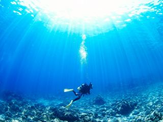 ★2016年PADI・ダイビングショップ日本一受賞店!