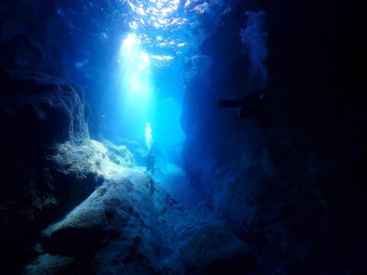 2016NPADIE_CrOVbv{ܓXI