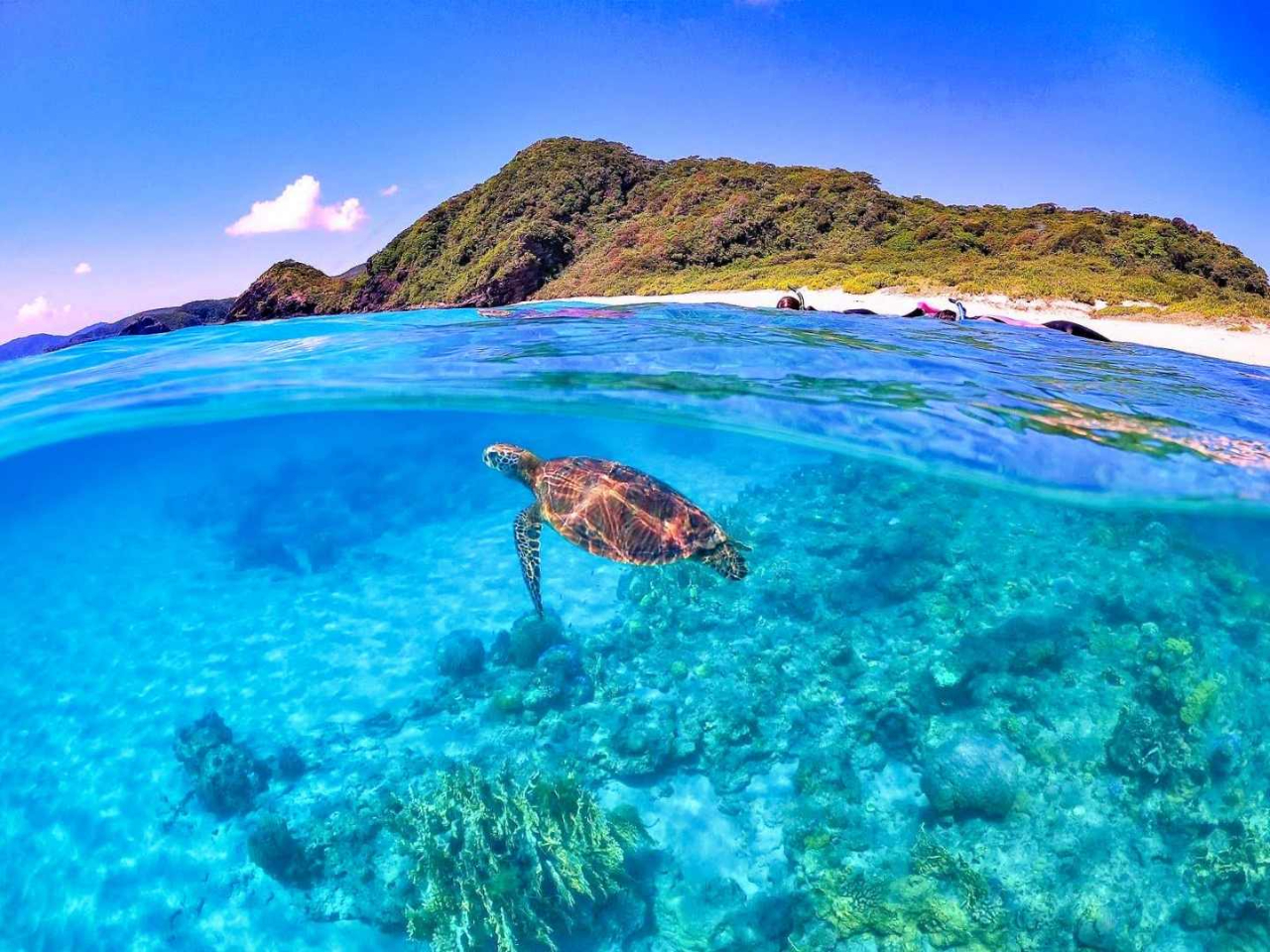 2016NPADIE_CrOVbv{ܓXI