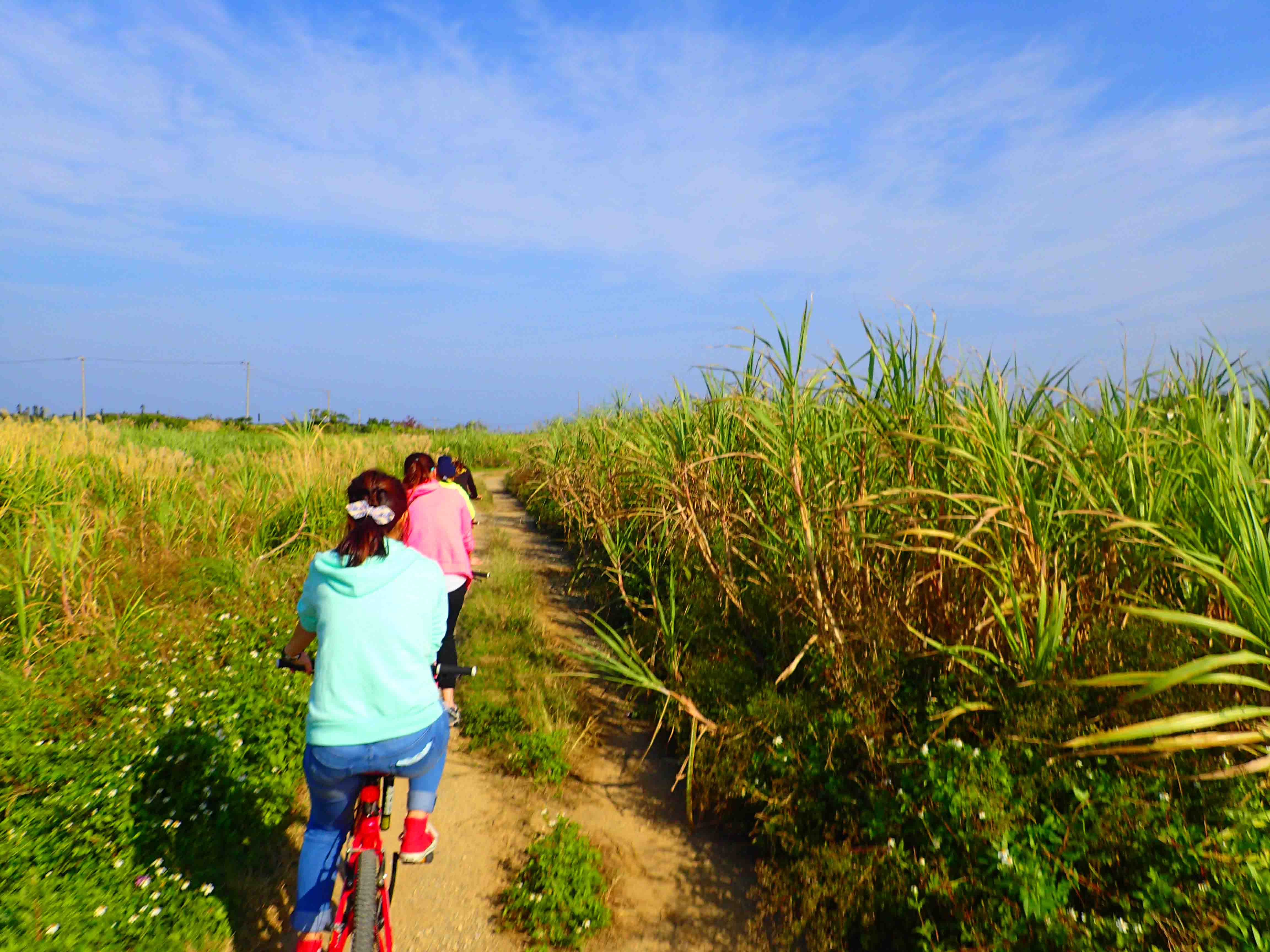 �}�E���e���o�C�N������ʂ�邳�Ƃ����є��̊�!!