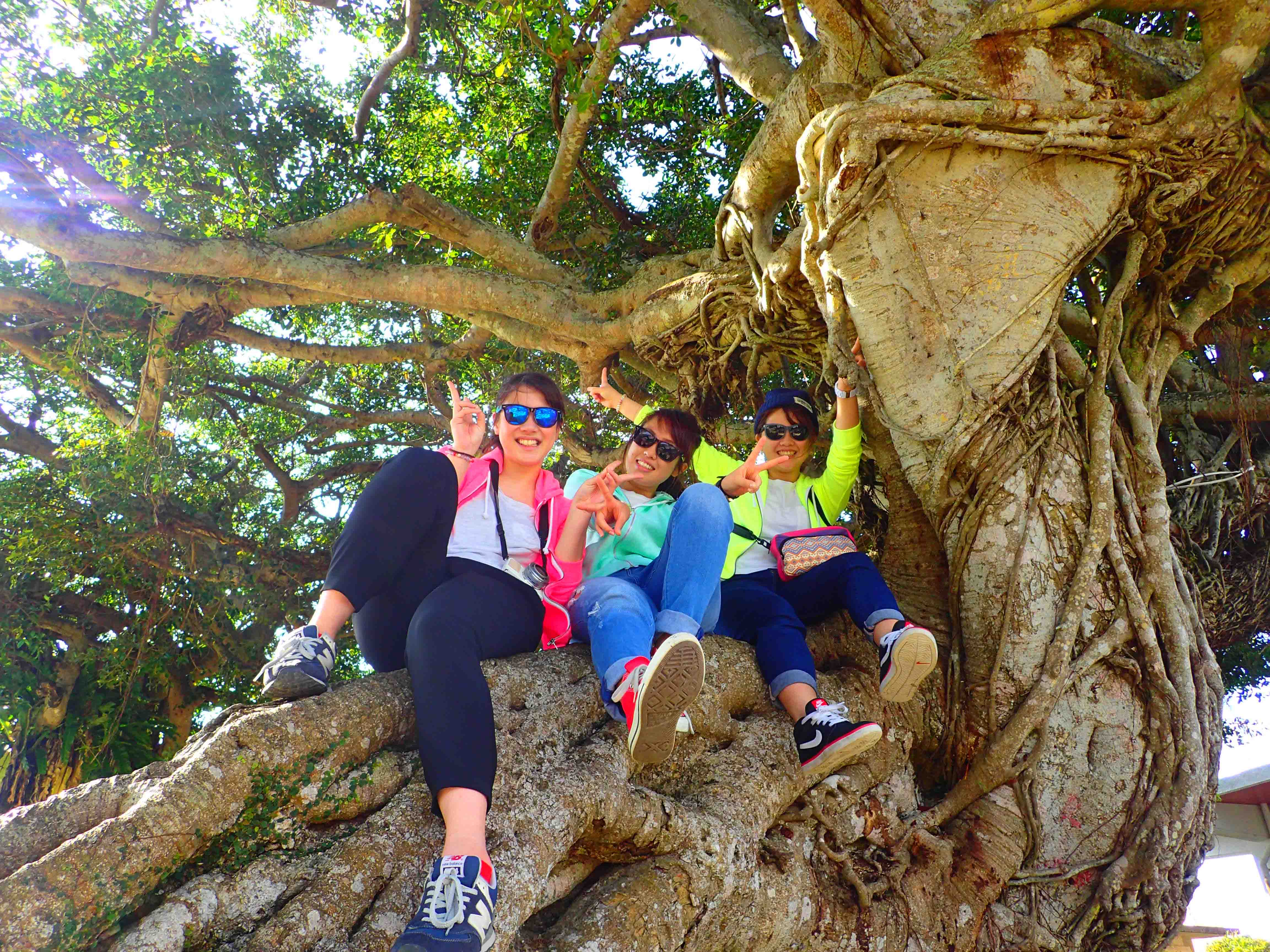 �ǒJ���ݏZ�̃X�^�b�t������ē��ł��錊�����