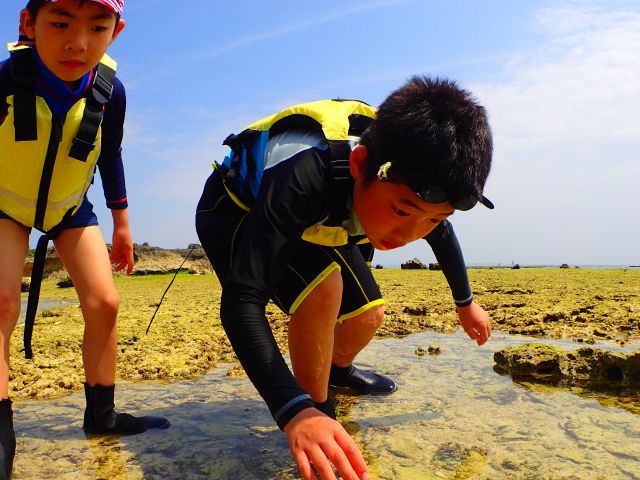 自分でもみつけれる!なにこれ!!大発見!!
