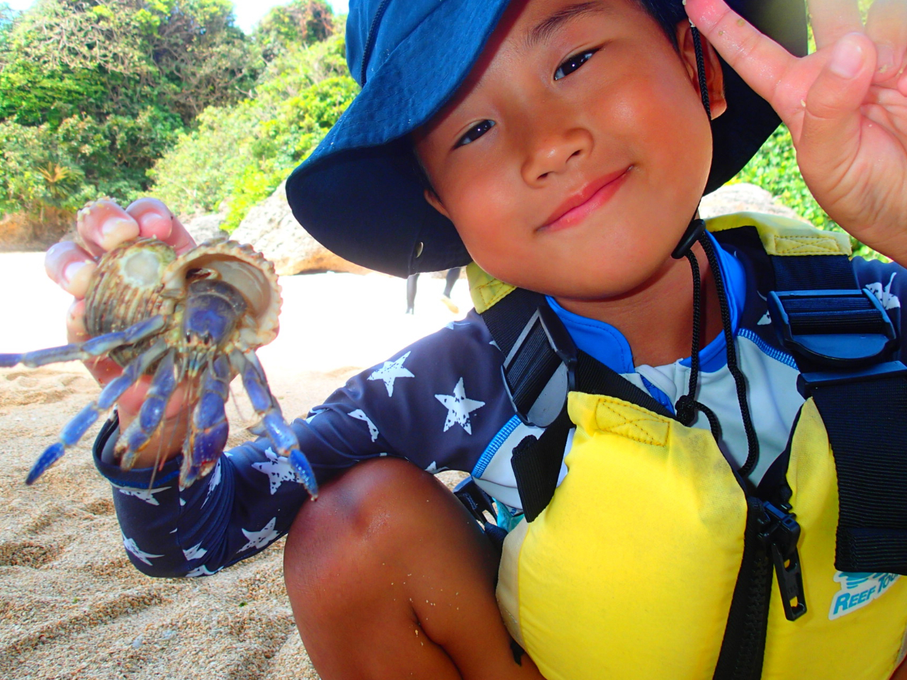サワれるようになった!