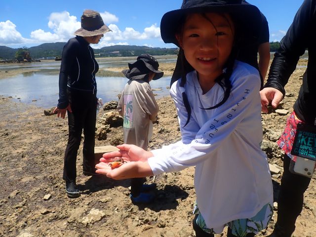 珍しい生き物に出会えるチャンス!