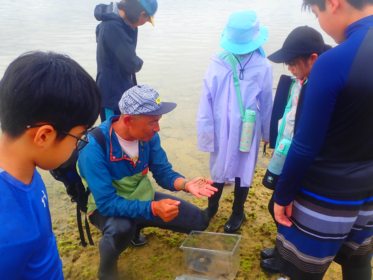 KCh񂪎Ɏē␶Ԍnڂ킩₷Ă