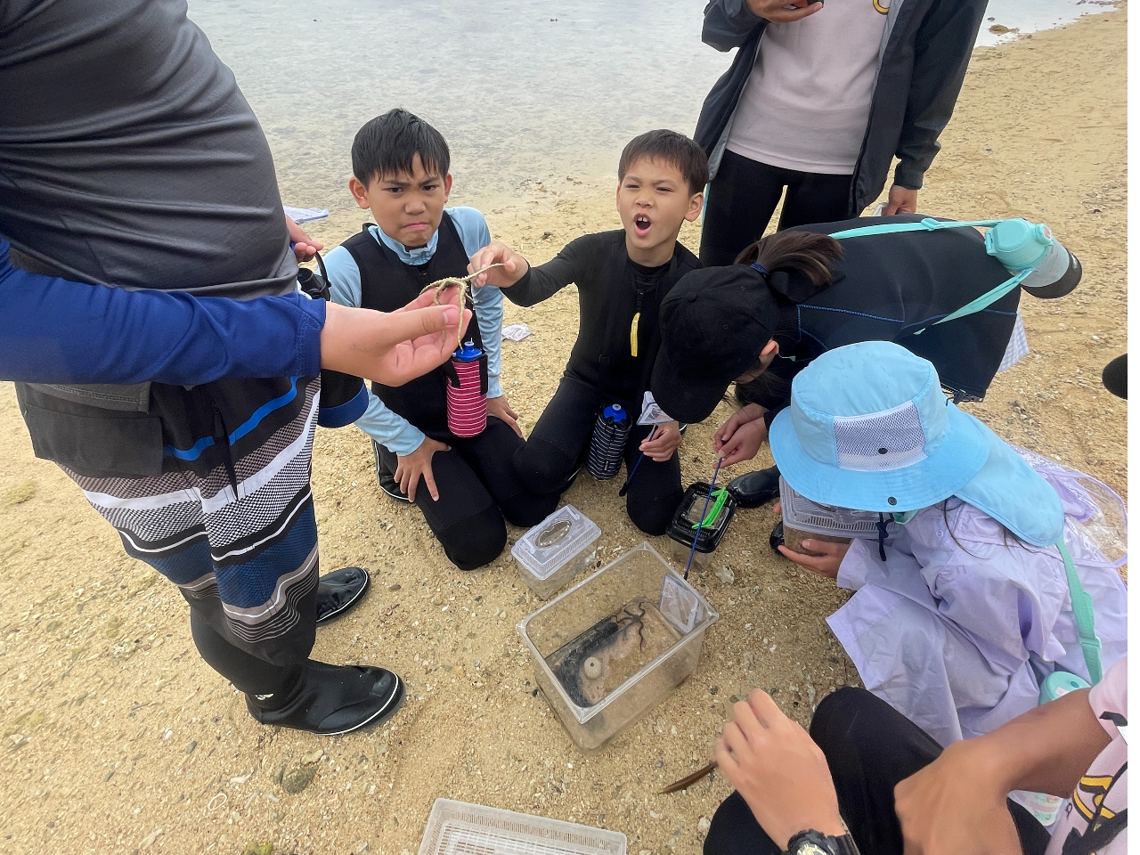 Xʂ̊ɐސ̐EIŌ͐ԂŊCɃoCoC܂I