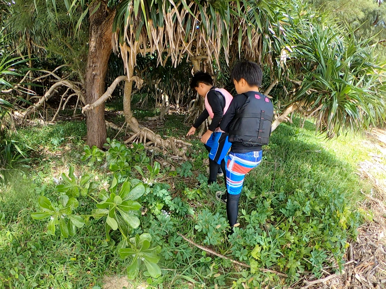 何がいるのかな〜