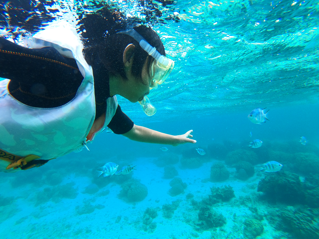 初めてみる海の中の世界☆