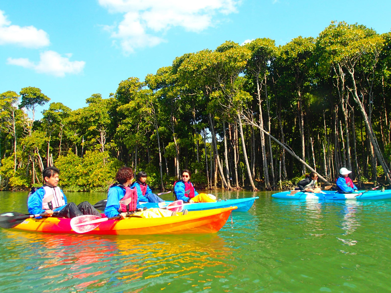 �߂��ł݂�}���O���[�u�͔��͖��_��