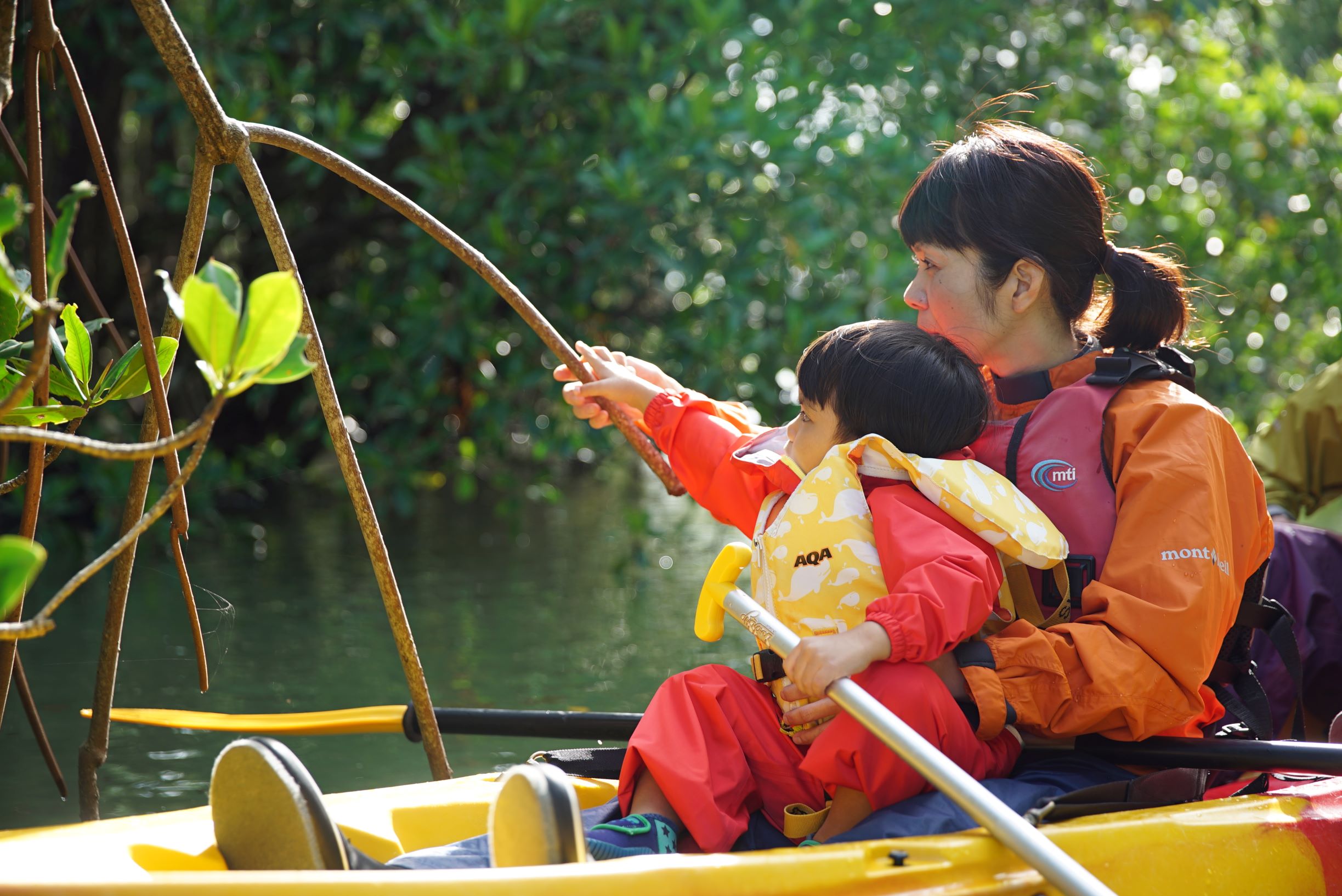 ���̖؂Ȃ�̖؁`�H�H