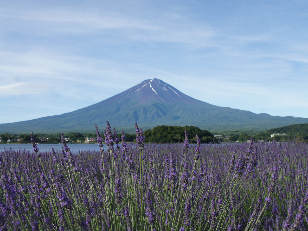 一押しのおすすめスポット。大石公園。6月にはラベンダーが香ります。