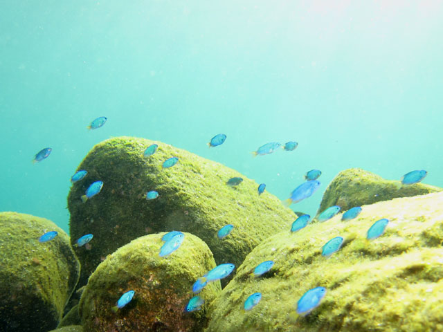 �J���t���ȋ��������ς��I