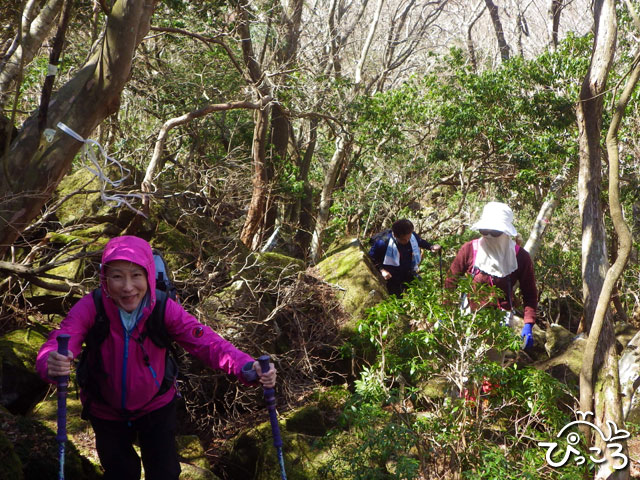 伊豆 子供に大人気 女性ガイドと体験登山 矢筈山 やはずやま トレッキング ダイビング トレッキングぴっころ じゃらん遊び体験 伊豆 子供に大人気 女性ガイドと体験登山 矢筈山 やはずやま トレッキング ダイビング トレッキングぴっころ じゃらん遊び体験