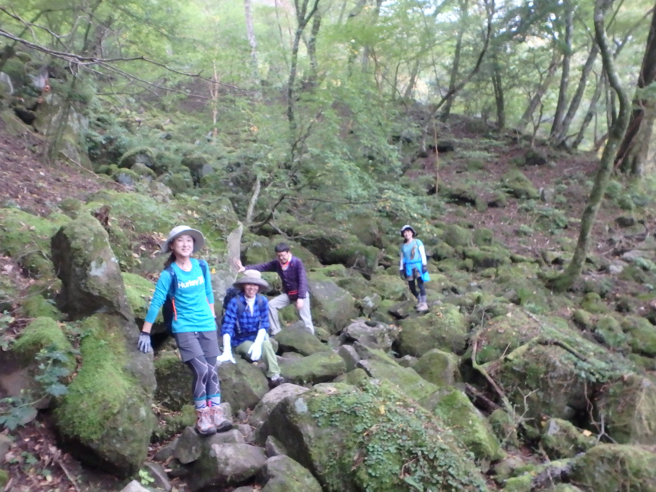 伊豆高原のトレッキング 登山ランキングtop2 じゃらんnet 伊豆高原のトレッキング 登山ランキングtop2 じゃらんnet