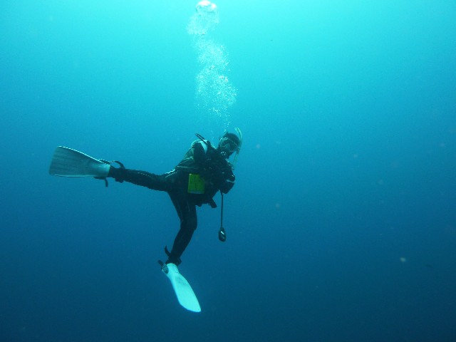 寒くない！ドライスーツで体験ダイビング [3.5時間] /ダイビング