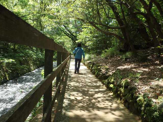 �쉈���̗V����������ĐX�̒���