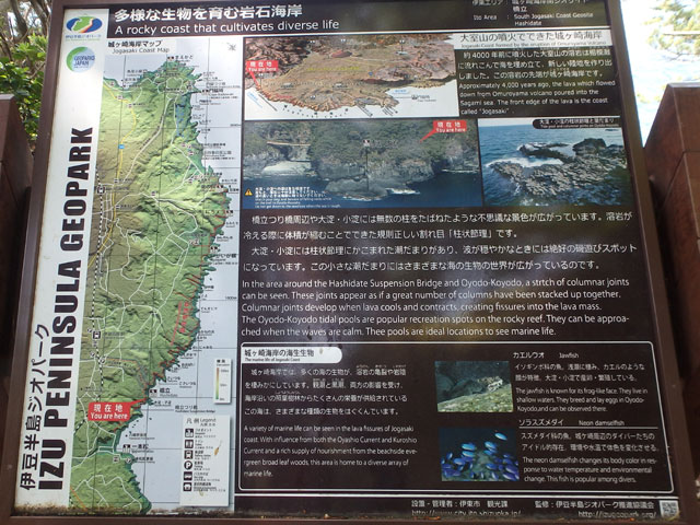 �ɓ������W�I�p�[�N�͐��E�W�I�p�[�N�ɔF�肳��܂���