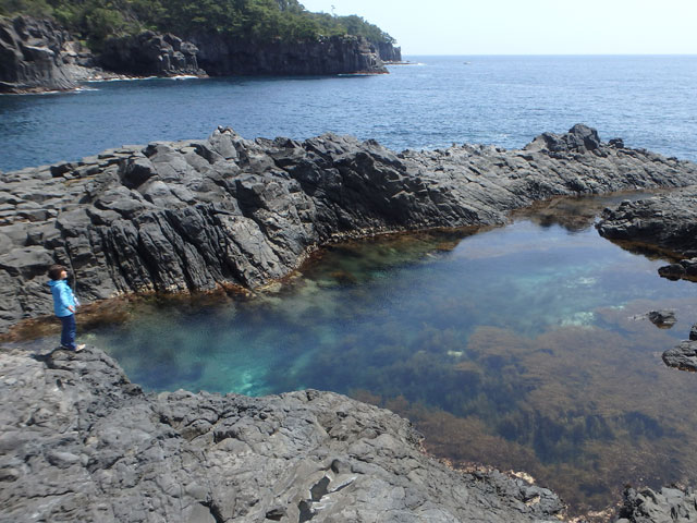 �n��̏�ɏo�����V�R�̃v�[���A�嗄����