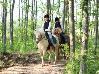 馬に乗って森林探索をしてみよう! 初心者OK♪